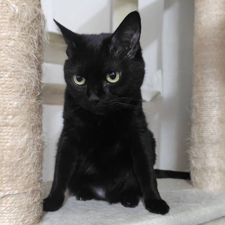 C671644b cab5 4a03 bc2b 580e78393dc3 1753703443144