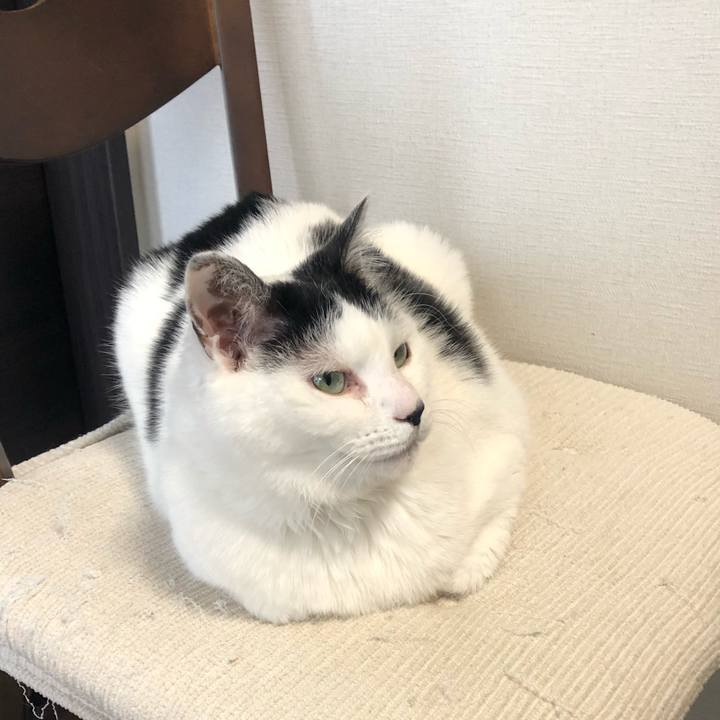 C671f1c6 8948 4637 8915 4ace2d91f416 1585265477216