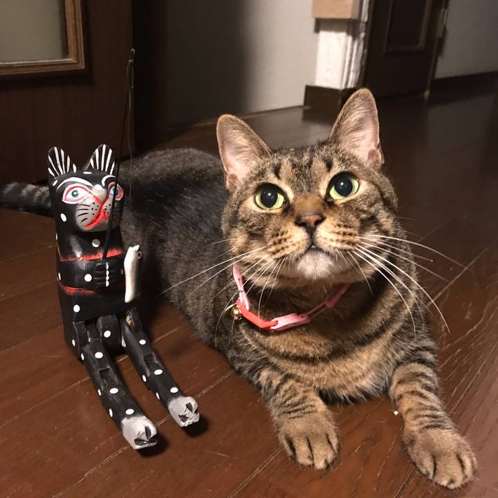 C671fbb4 dafd 4b7f 81e5 75fa8a117b56 1588871082479