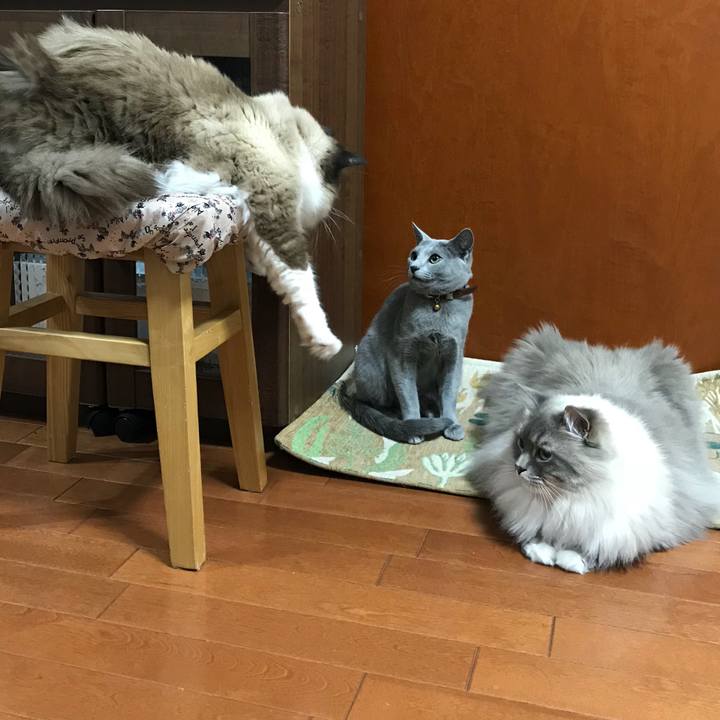 C6722c98 4924 469f bd36 4e3103744a65 1518344046695