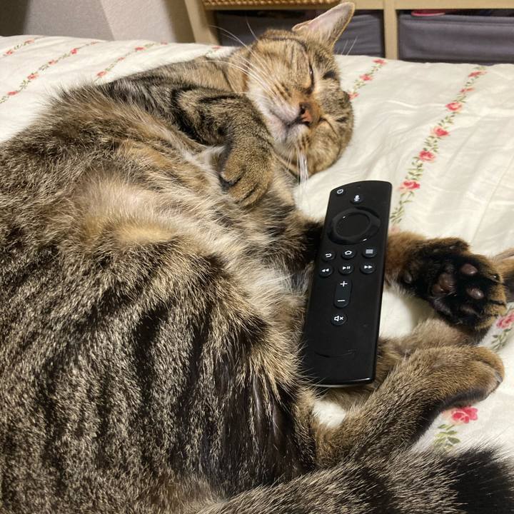 C6724651 b89a 403a a3fb 3e585fafd630 1727605634161