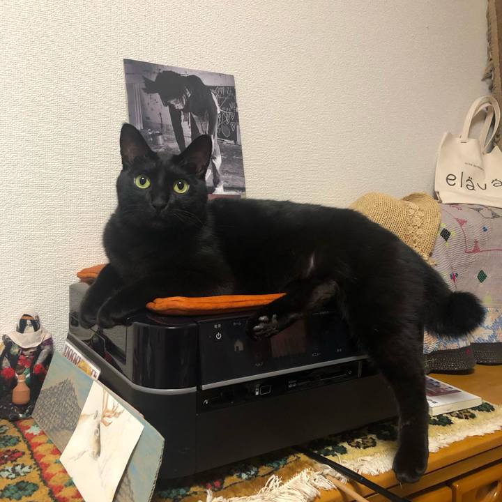 C6728cf2 69ac 4414 91e0 12e33d158276 1577708480049