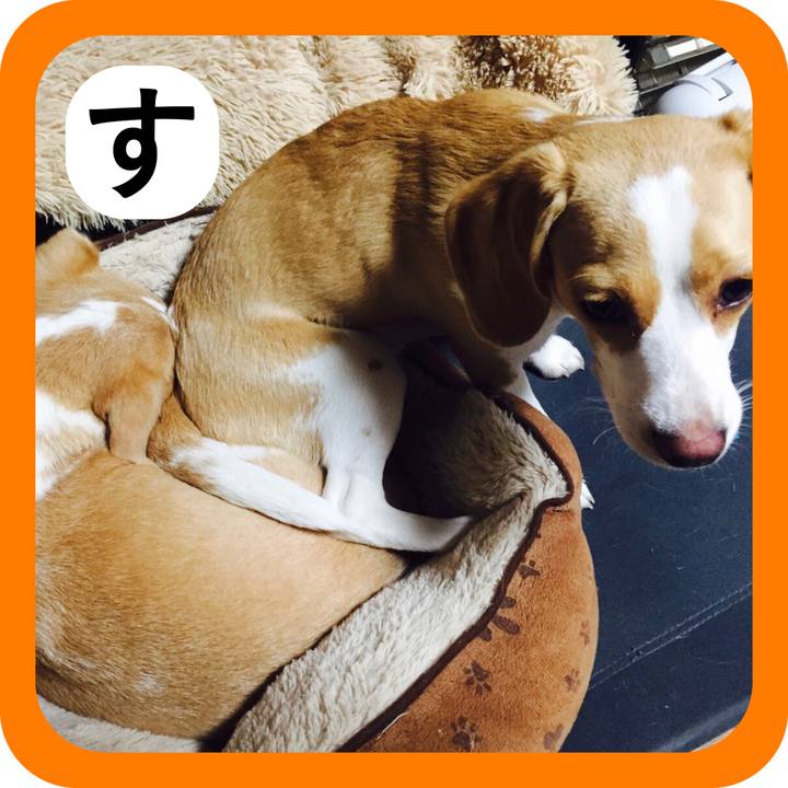 C672a778 430e 4a60 a394 298d3453809a 1515031141657