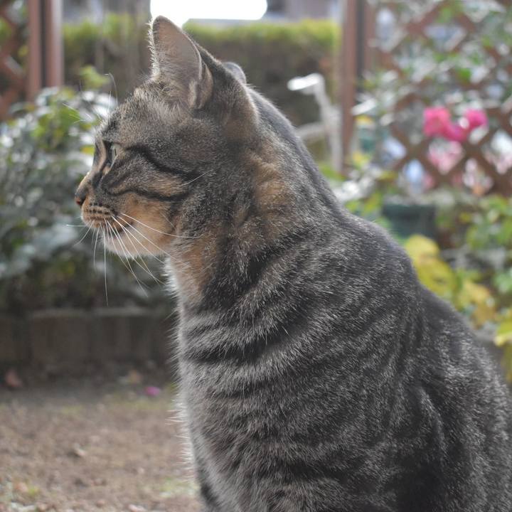 C672cc4c a9ab 4353 9359 913b89e6513c 1576812756970