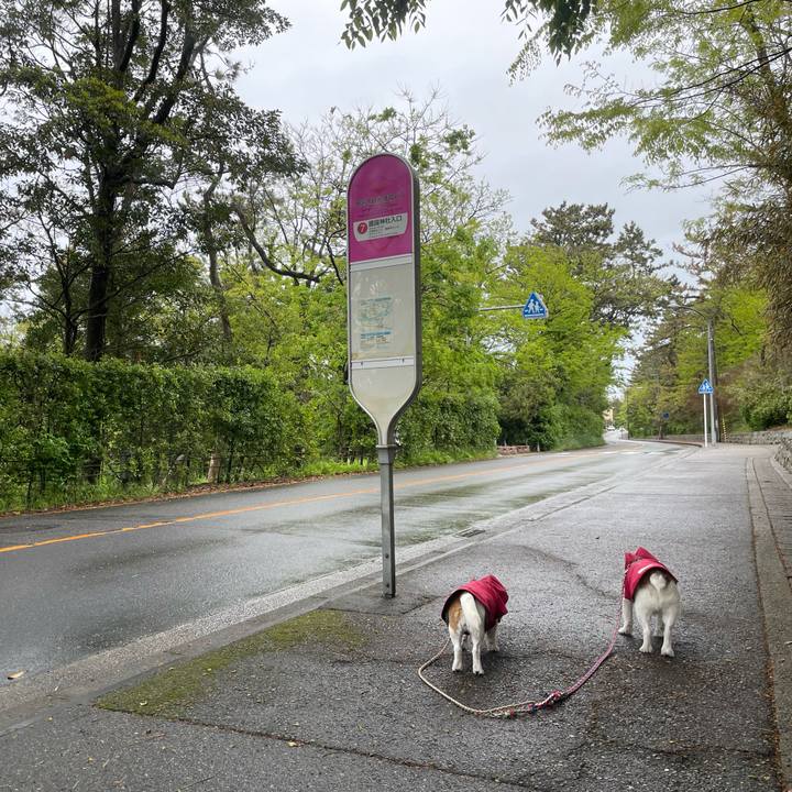 C672ec20 ed0a 446b 928c c4e252a0c1be 1746834504077