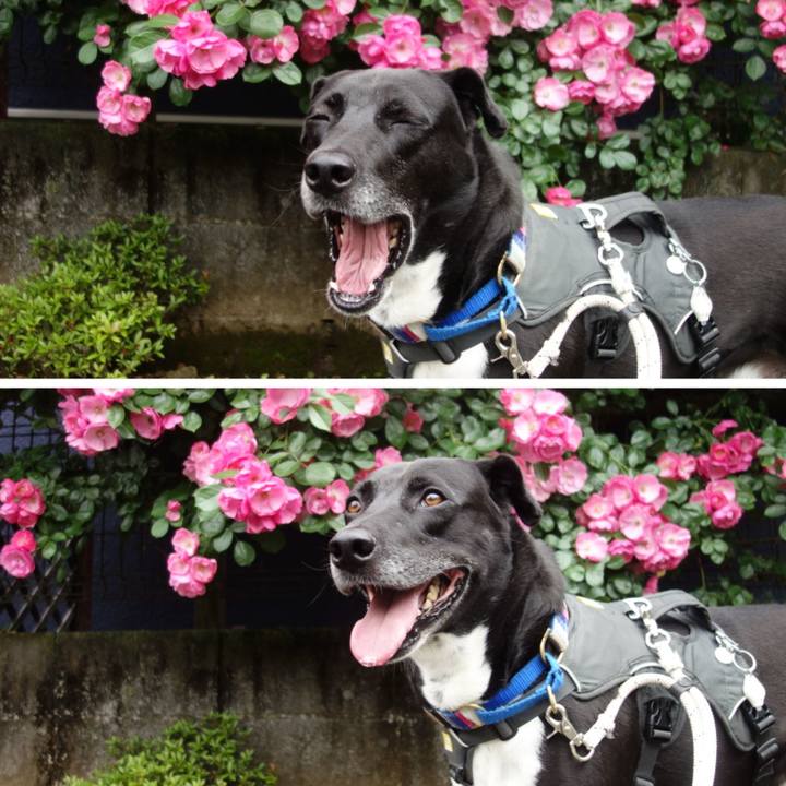 C672f677 1814 4e54 8bc0 4b470457ef3c 1652750387417