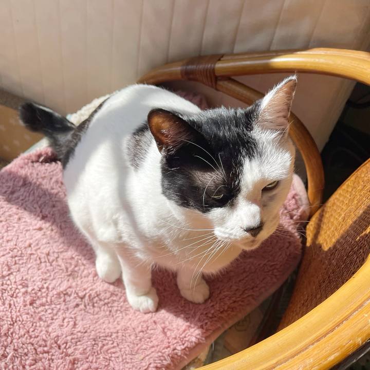 C6732b20 bfdb 4f9a 8cdb 54c56bff1ff2 1768102283453