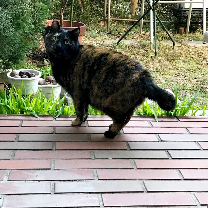 C67351cd 623c 48a4 b024 ae6a15b08659 1518755884441