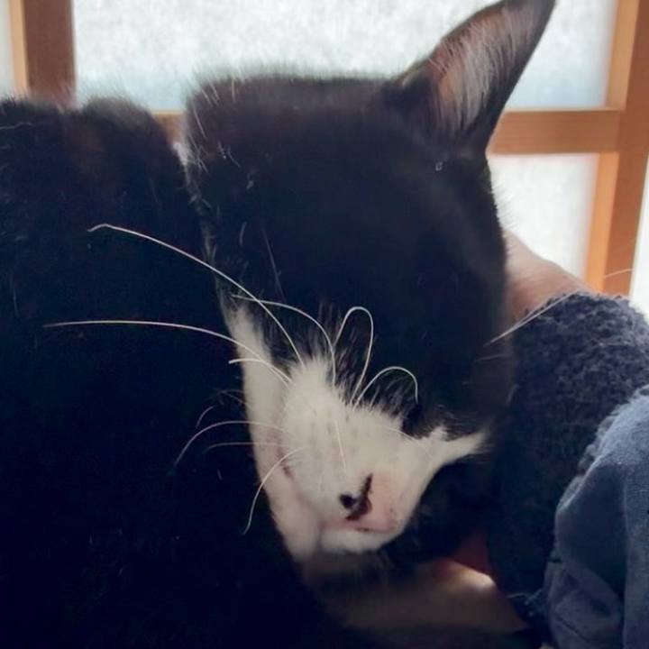 C6736447 6d4c 4b51 8f2f 7c2d87e0847e 1762480675157