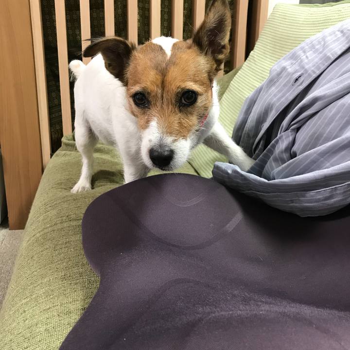 C6736b51 1e44 457c a239 f1a722e394f9 1508066895099