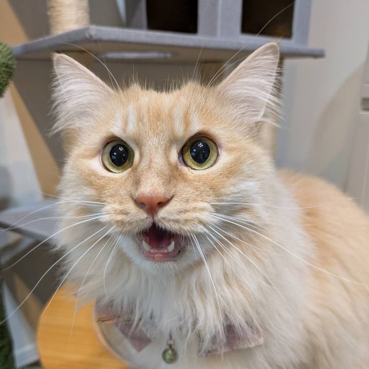 C6738bf4 0f2a 43ed 89a0 f59090a51150 1742025344562