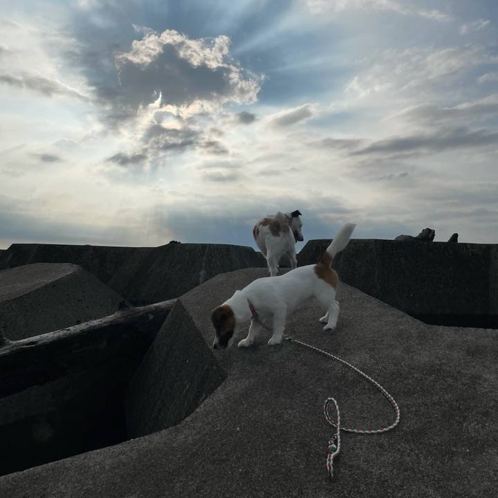 C67391e3 0f79 4a79 87a2 2716ff0e43f5 1626081299782