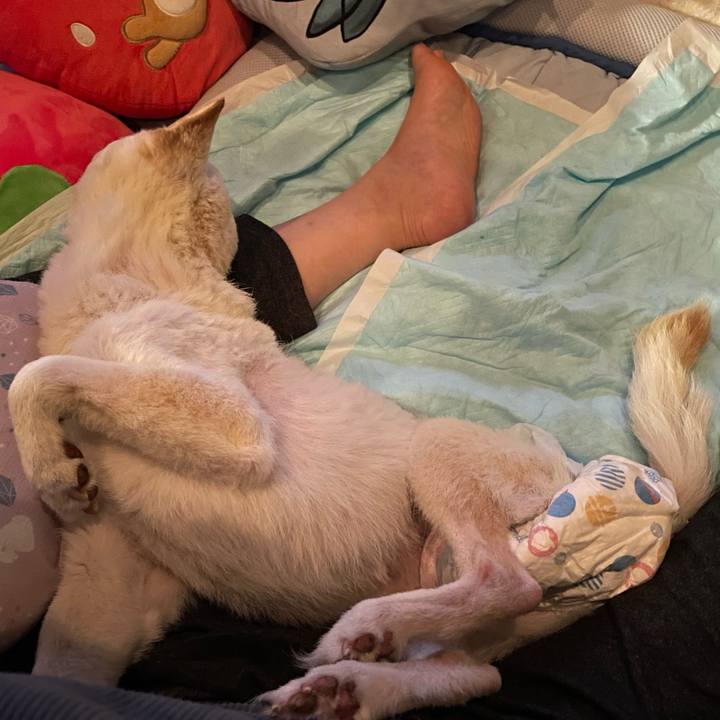 C673a274 db47 45a3 8dc8 f623268128b1 1681476534647