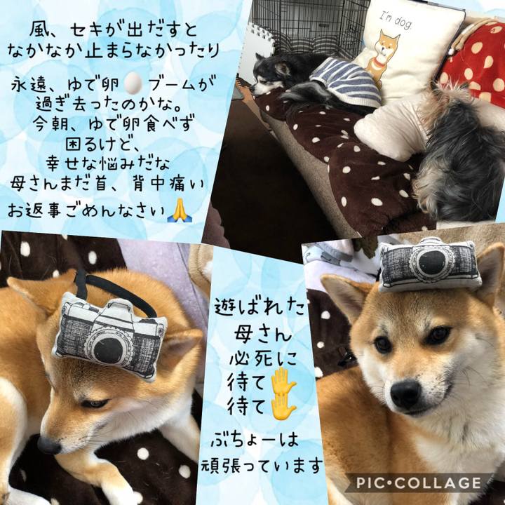 C673a56f 86a1 4970 8ef3 4ea67d36af0b 1551588767391