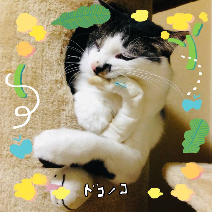 C673b9d7 6dde 4a73 a127 94dbeb407f78 1744550794966