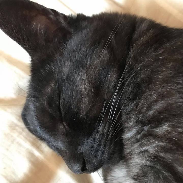 C673ca56 fc23 405c a9f0 81097d3a999b 1654900790009