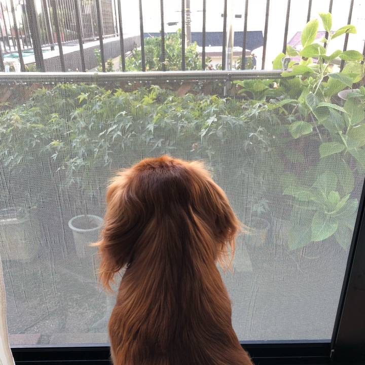 C673fd08 d706 4e03 9b64 3f8b37833378 1536097970978