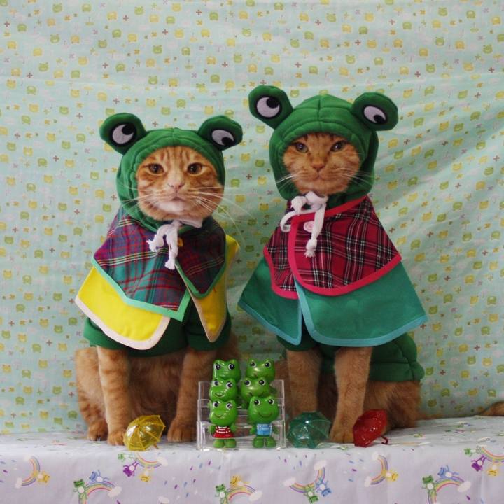 C673fe21 a277 43e2 a33c f67bdd0f97aa 1749541141255