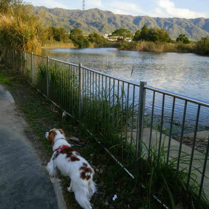 C67414c8 f13a 450b a6d7 cfbc431f5638 1540888137729