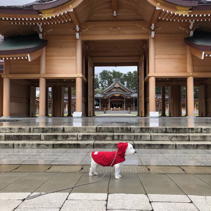 C6741a71 88c1 4b55 9be3 4f8644c8badd 1587601334781