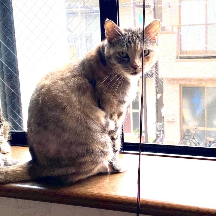 C6741b8b bc8e 4211 b761 05fc82f08d5c 1588830022344