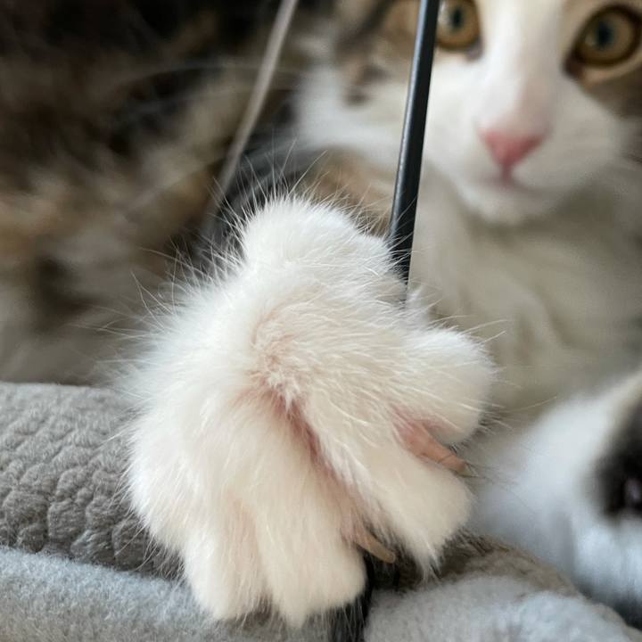 C6743bae 9f4a 4fca a174 990475446599 1633298808093