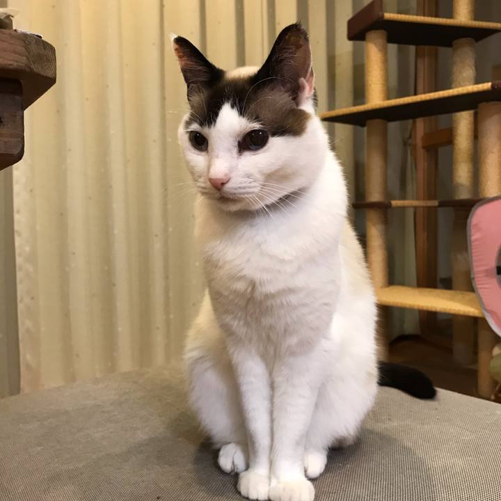 C67445b7 0f2e 4b90 b0e0 11c2a2414b85 1590548033282