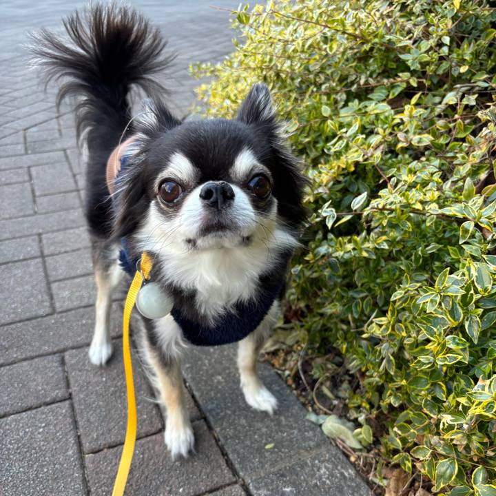 C6744c8e 958e 43cd afc4 338796ca504c 1740327163764