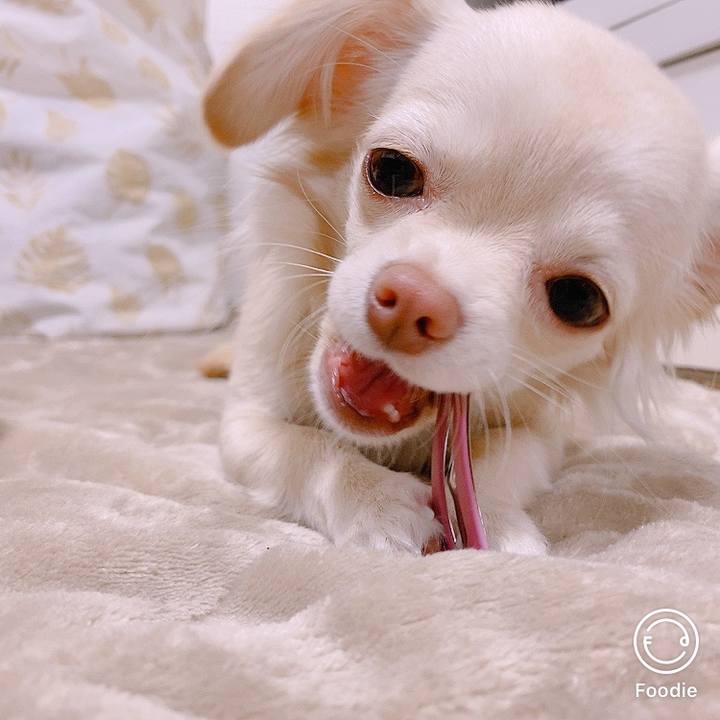 C6746968 2781 4332 ad4b d4fbba64f419 1605603038573