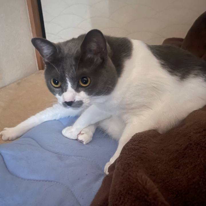 C67482b7 5f46 4223 8d29 69290c4267f4 1633823920728