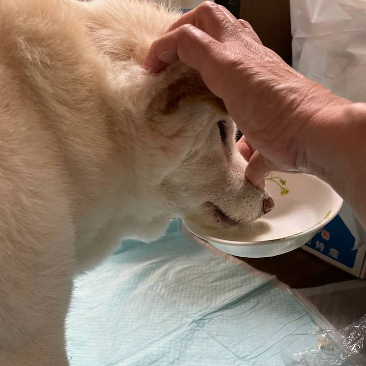 C674c184 b214 4f61 8dbd 08e5a46d1642 1636438942310