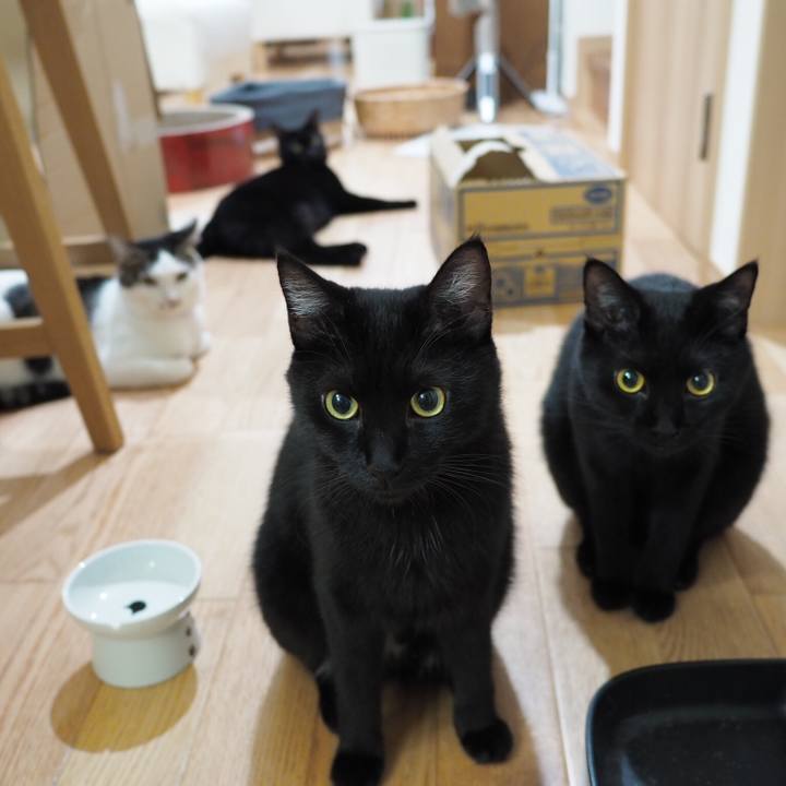 C674d5d2 889c 471d b731 b4c36343e4ff 1536847423682