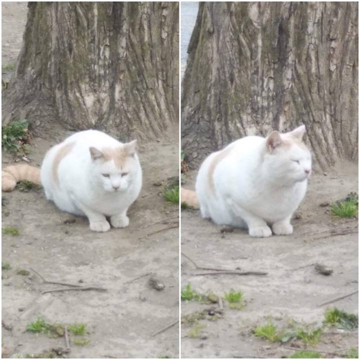 C674d5de 6021 4f0d b508 857504ca6161 1647437530404