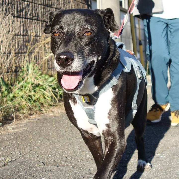 C6753a82 410c 4621 8b49 bb6e94988c19 1732926320813