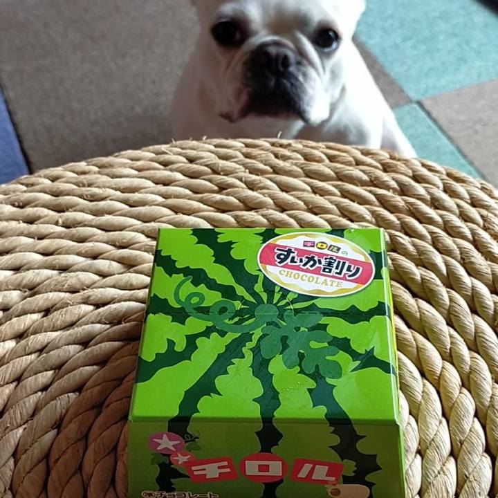 C6753e90 a0f2 4305 a6a6 383bf1340e3e 1658573502790