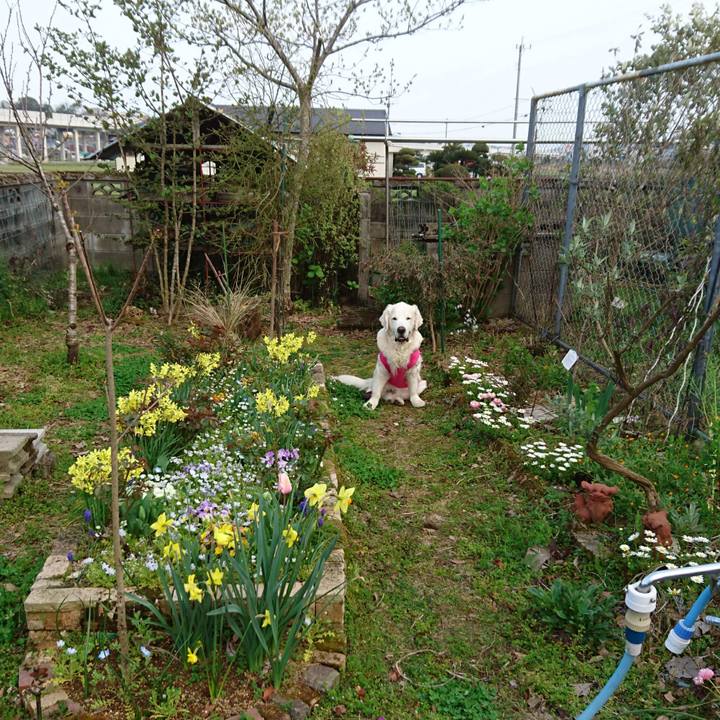 C67540cf b0bf 4c11 9b89 8bc499599e9b 1553939346361