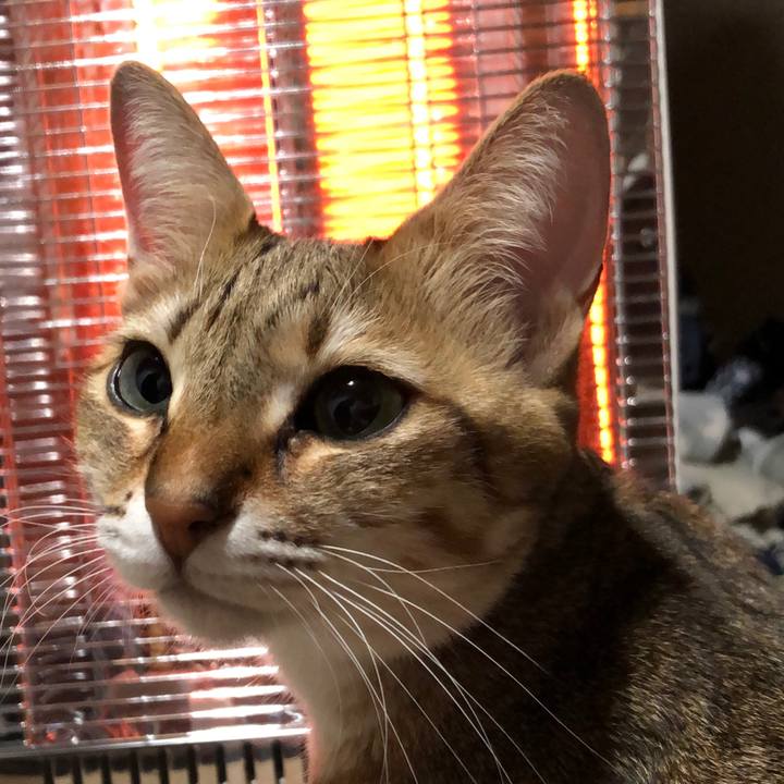 C6755126 1cf3 411b 98f9 99c11ce43b2c 1640761964520