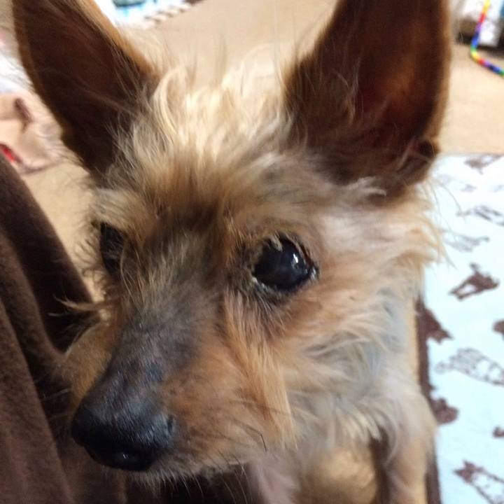 C67570ba 3df0 452d 8edc f784f7ff9ee5 1652229598776