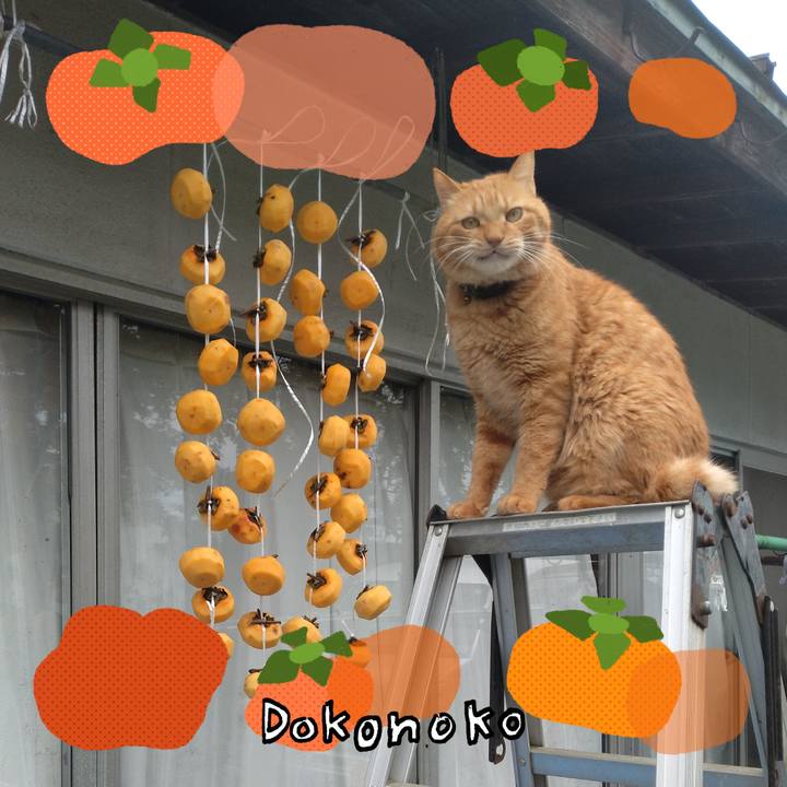 C675aa2c 9269 4aad 8d30 7770e15e5031 1761107325667