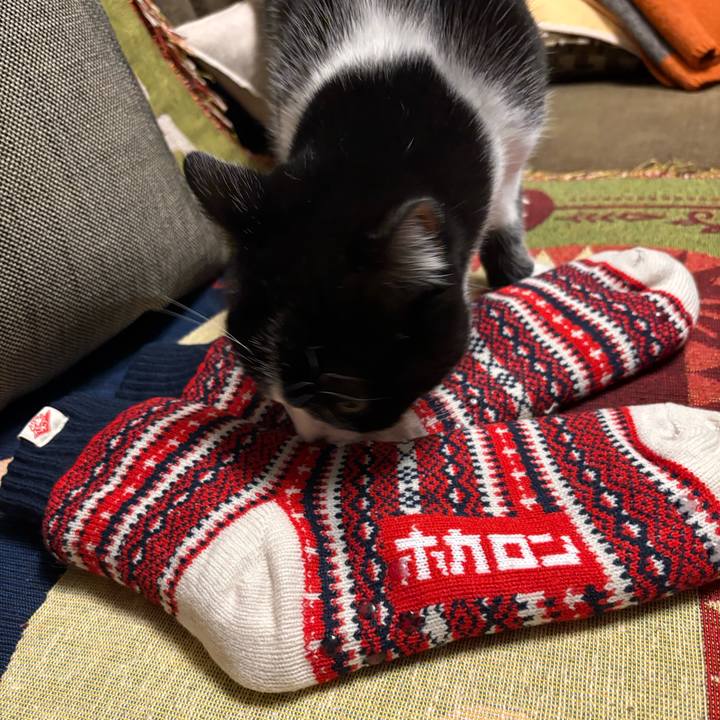 C675b637 dfb1 4028 ad5c 8bc40d55fd43 1768736480777