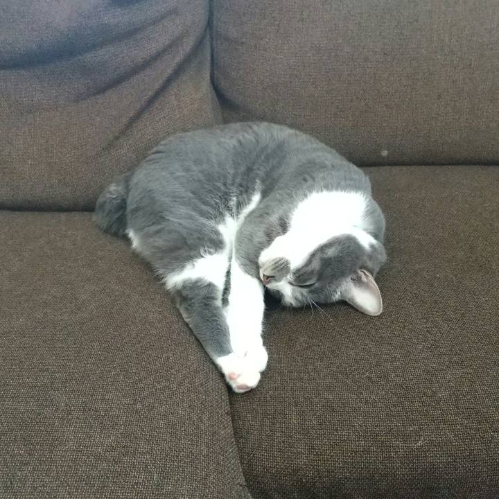 C675c137 4ab3 4c63 ac88 75bdb4274726 1640222353838