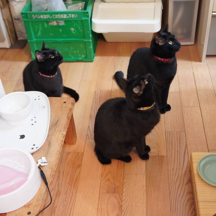 C675d8c3 c601 40a7 9f46 59a3e88bfdea 1614949195605