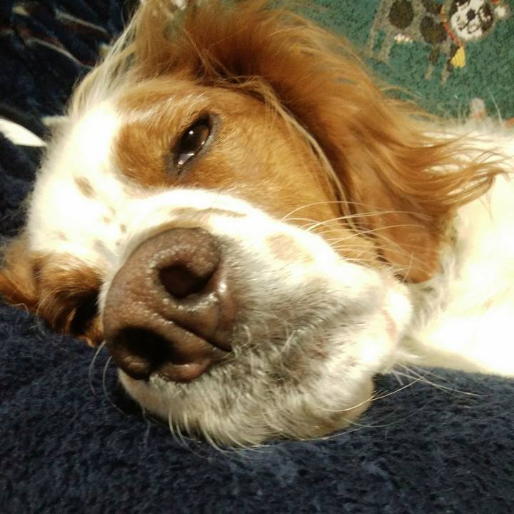 C67621dc bb5f 45a3 a548 c2247ca978ad 1541852855889