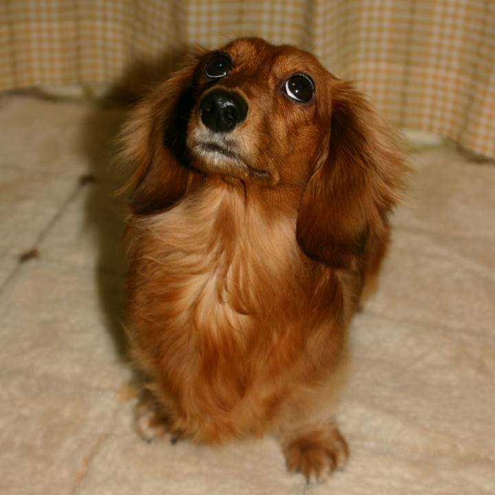 C6762872 4be1 4867 9285 b0c1a0cc6650 1529685196064