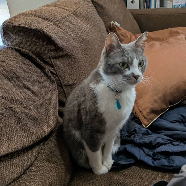 C676354d 8479 4093 a7fe f5f39276872e 1733128440017