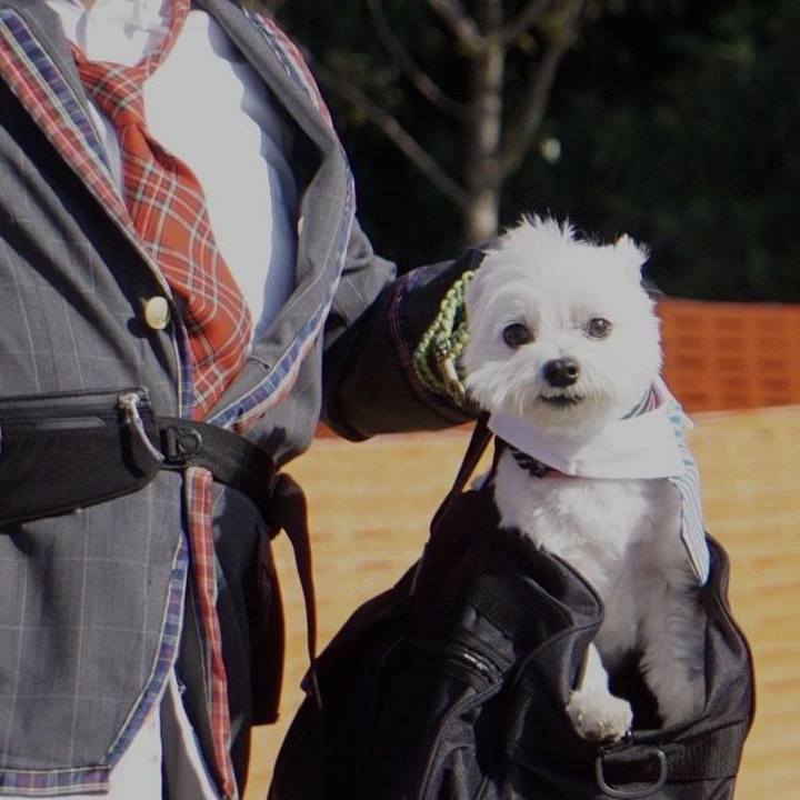 C6763c57 9625 4be8 85fa 16fcc5f205e6 1604218797059