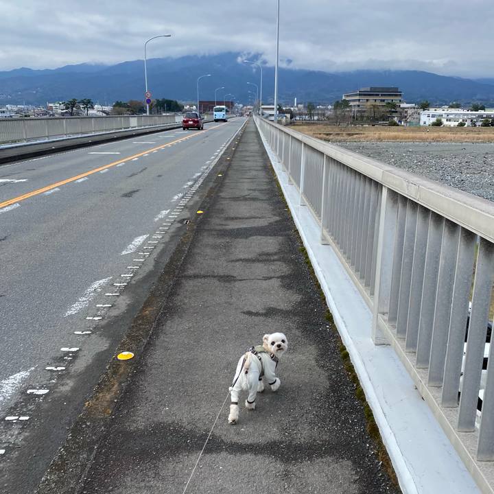 C676409a 04d9 49be b446 99edb93c7304 1680010448204