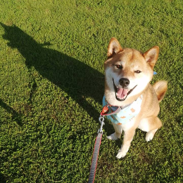 C6765144 6052 4dc1 8fb1 bedbdd2c9d4f 1592304188447