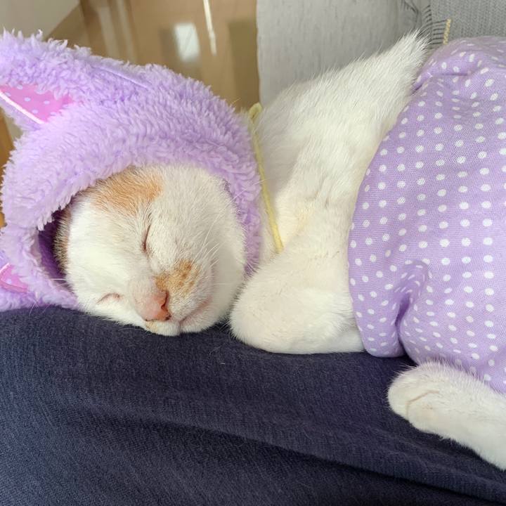 C6766cf8 15fd 4c46 a21e 22aa7ddc5cfb 1581592753715