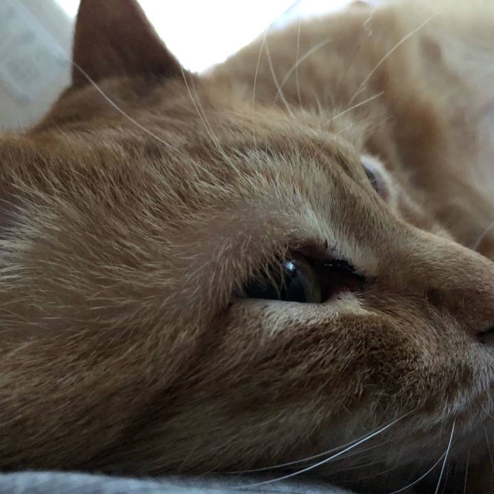 C676aaa0 57fe 4009 9f68 43ac385d56df 1586206358462